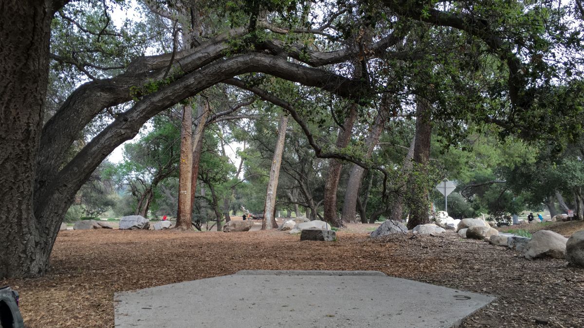 Hole 20