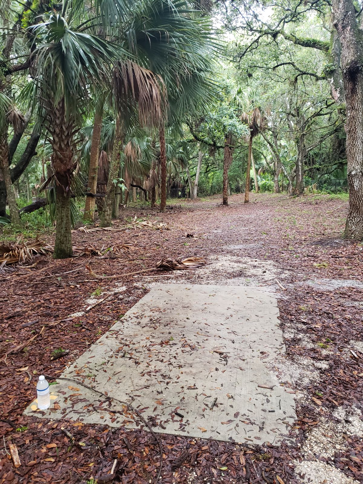 Hole 5 Tee Pad
