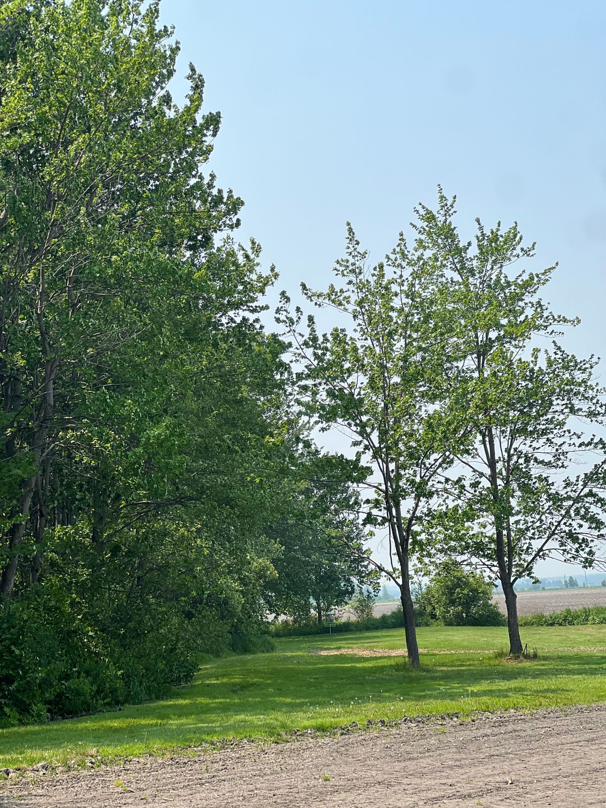Hole 8