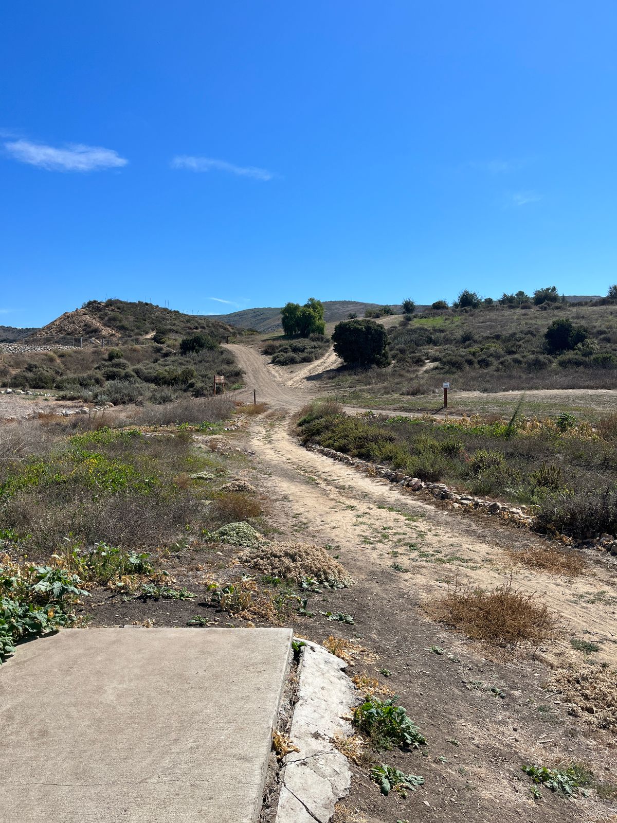 Tee pad 18