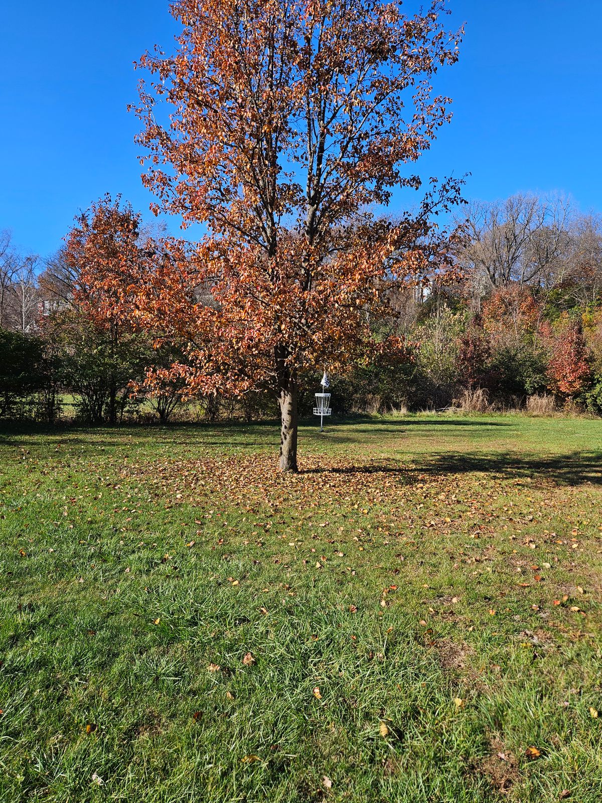 Hole 2 green