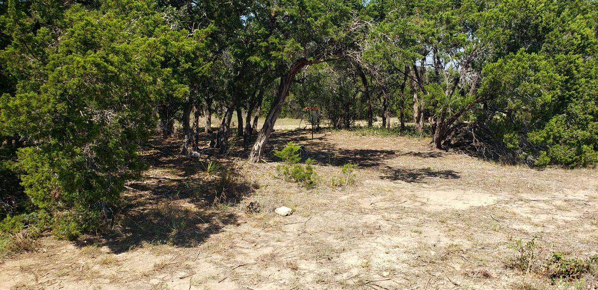 Hole 2 basket