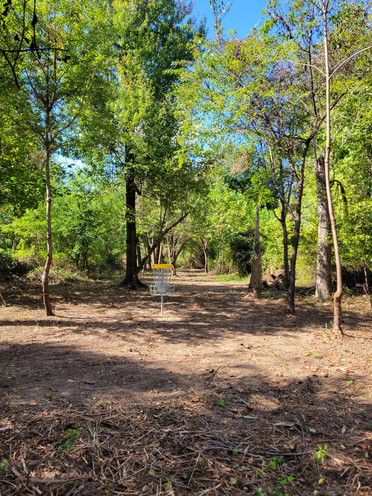 Hole 5 Basket looking towards Tee
