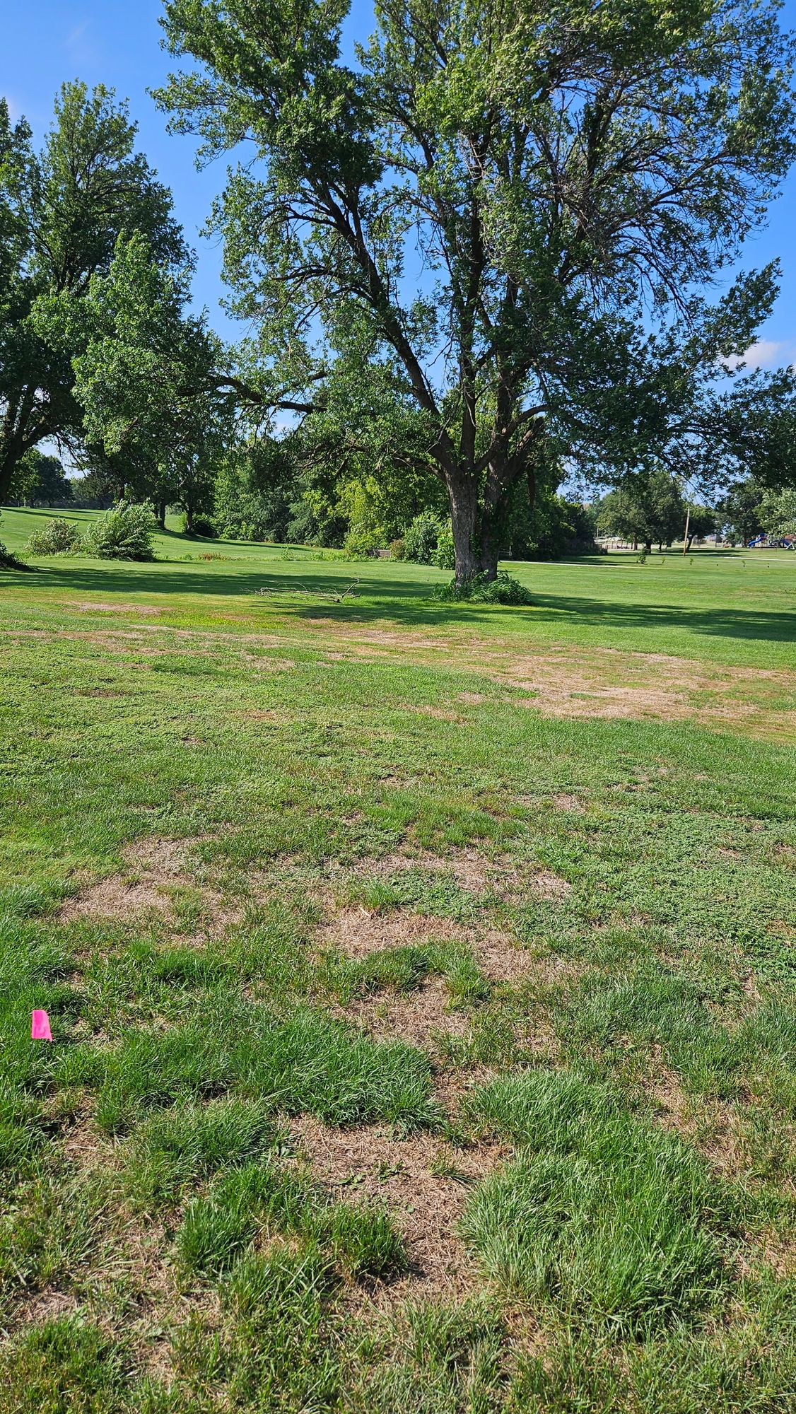 Hole 10 Tee
