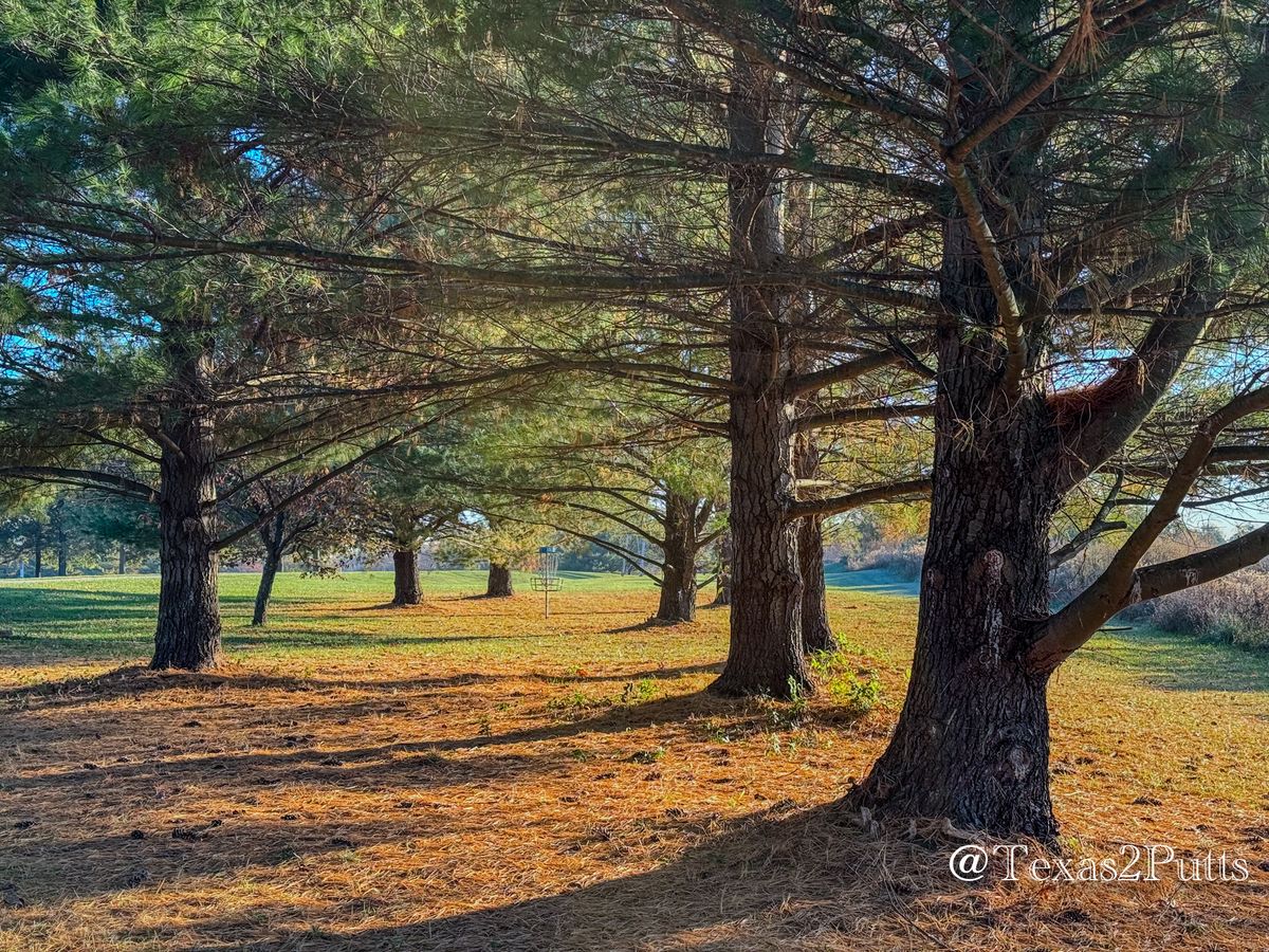 Hole 15