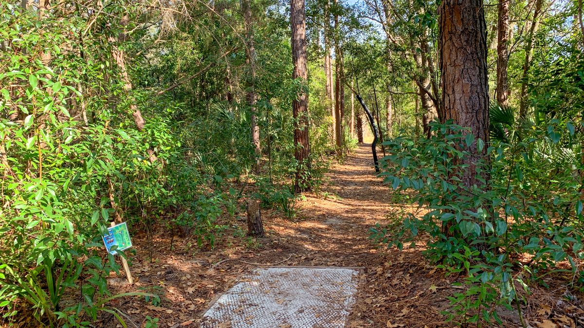 Hole 12