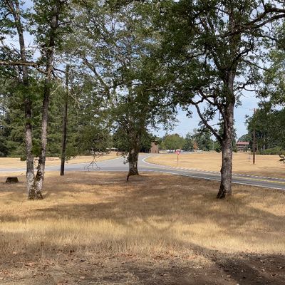 Tee area used to shoot at various basket depending which layout you choose as shown on UDISC app.
