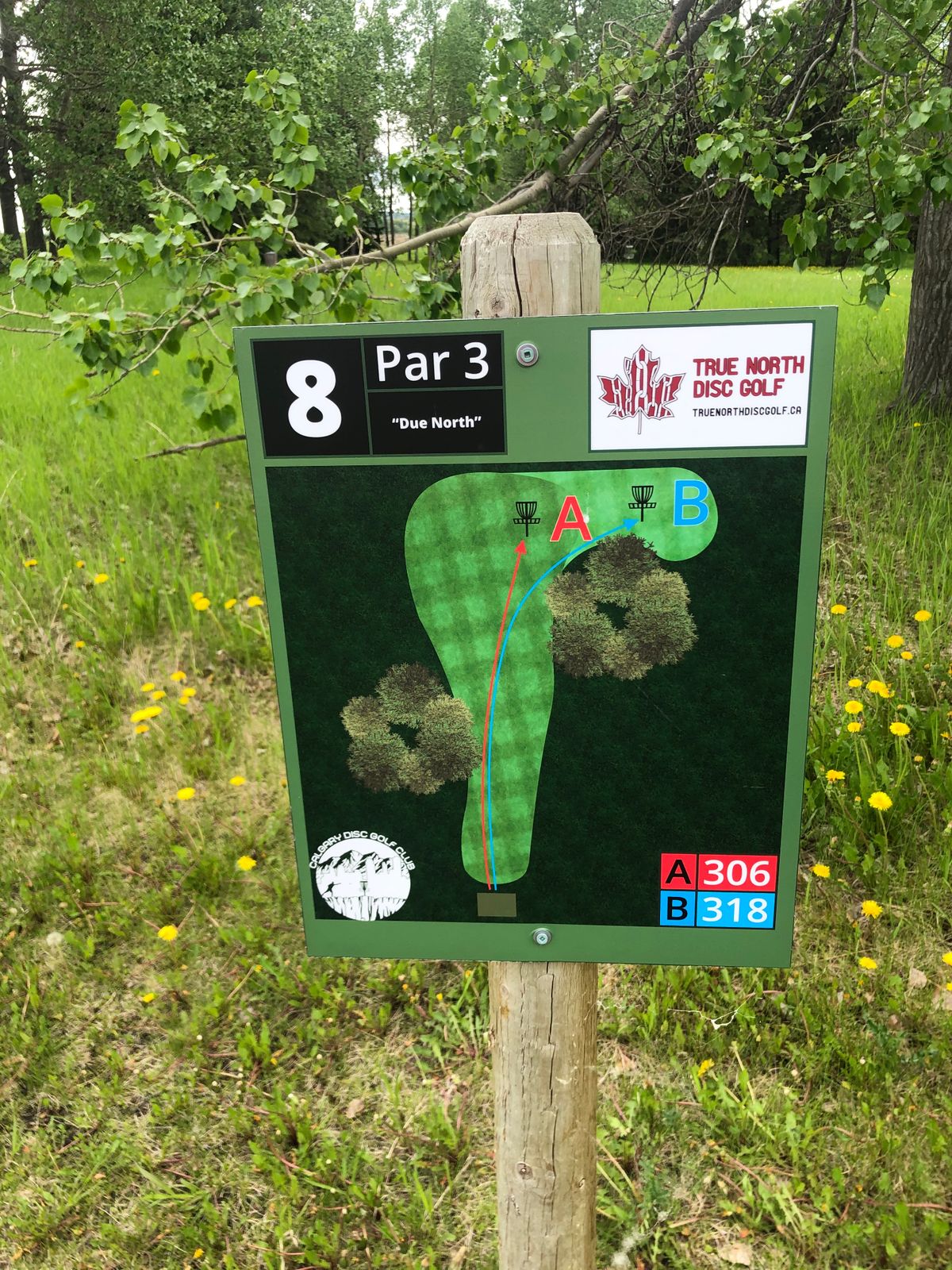 Tee sign hole 8