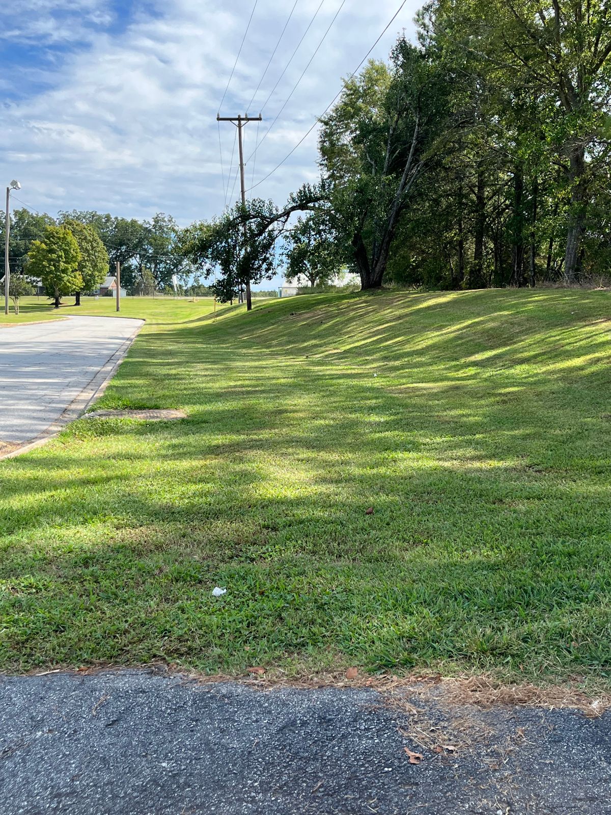 Hole 4 is a very narrow fairway. Clear the low hanging tree while throwing uphill.