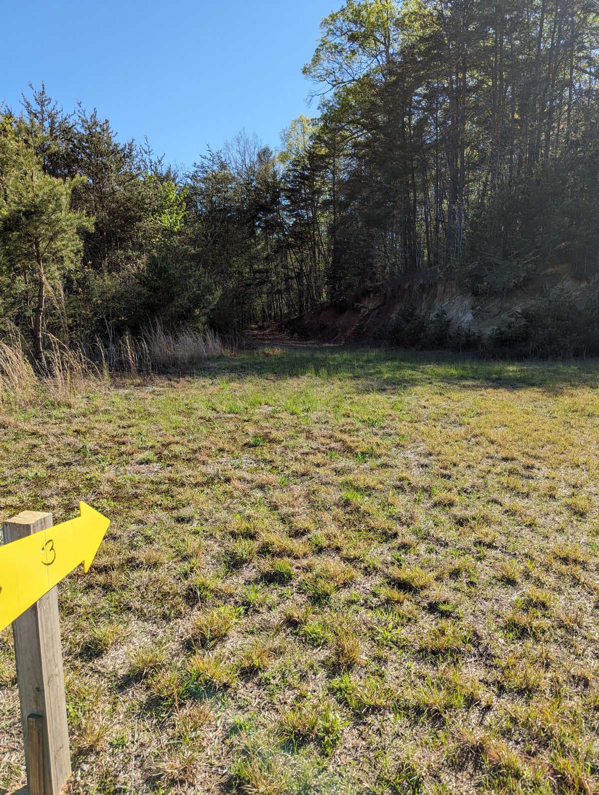 Hole 3 from tee