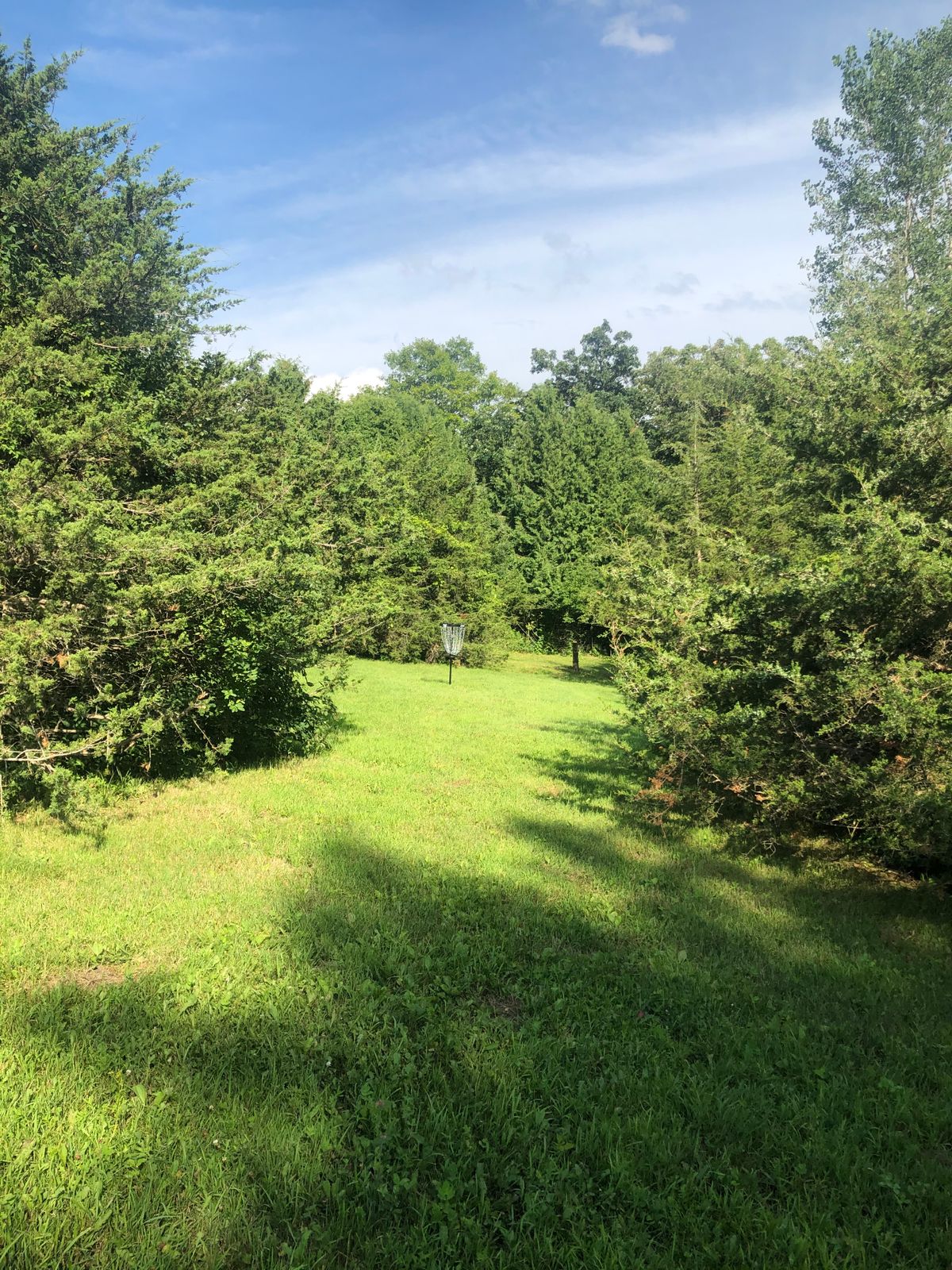 Basket Hole 2