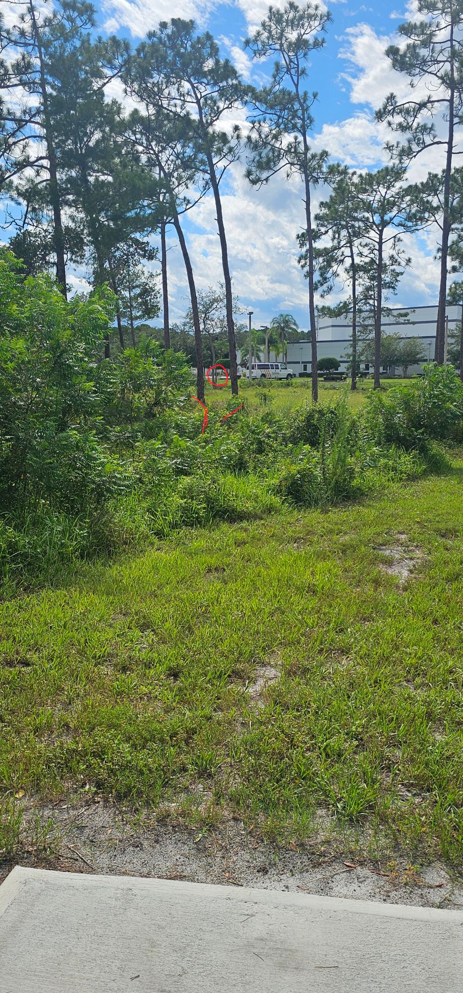 Hole 2