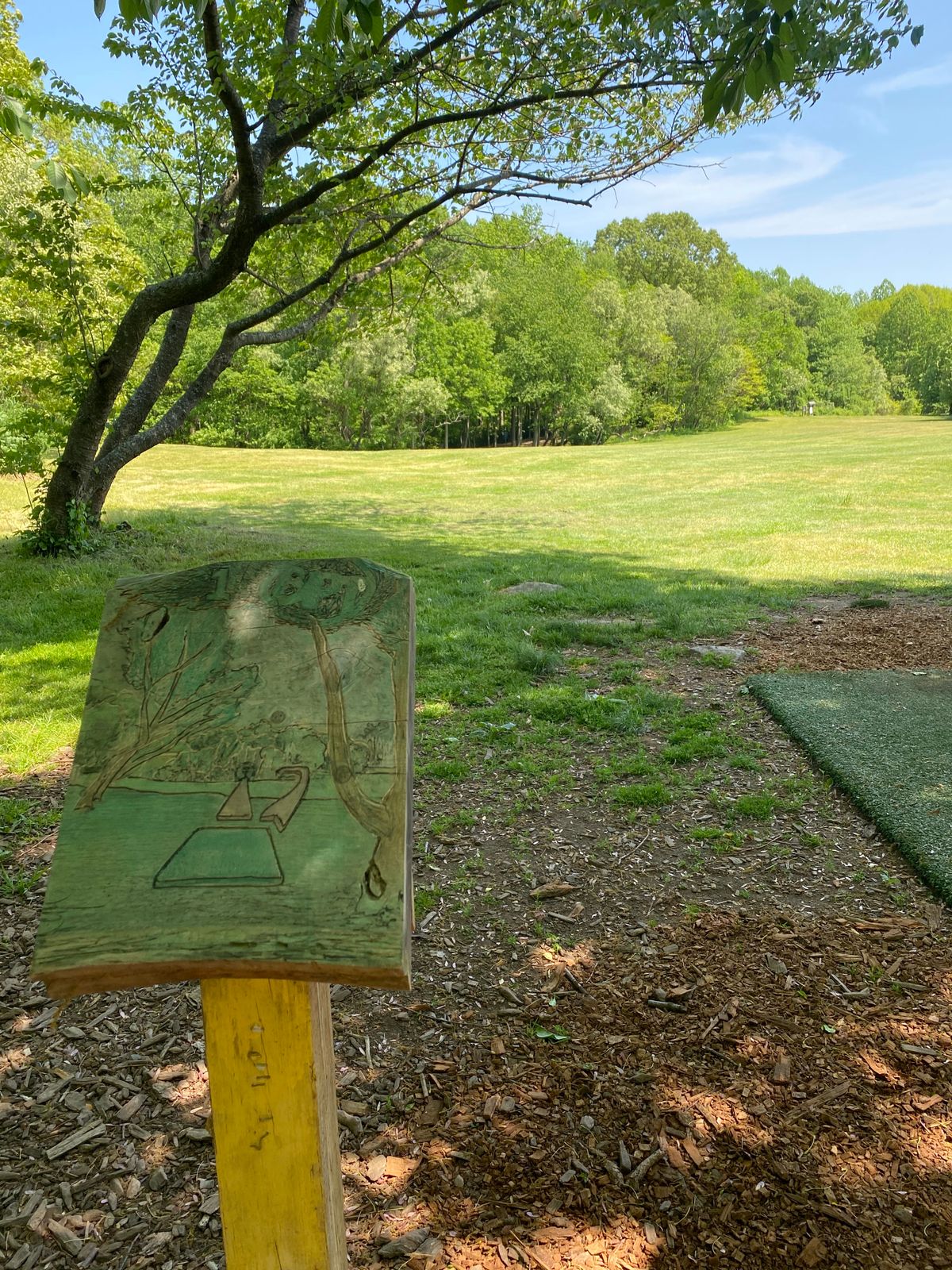 Hole 1, hand carved Tee Pad Signage