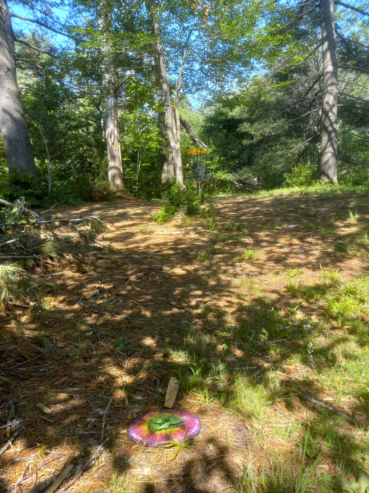 Hole 4 Green