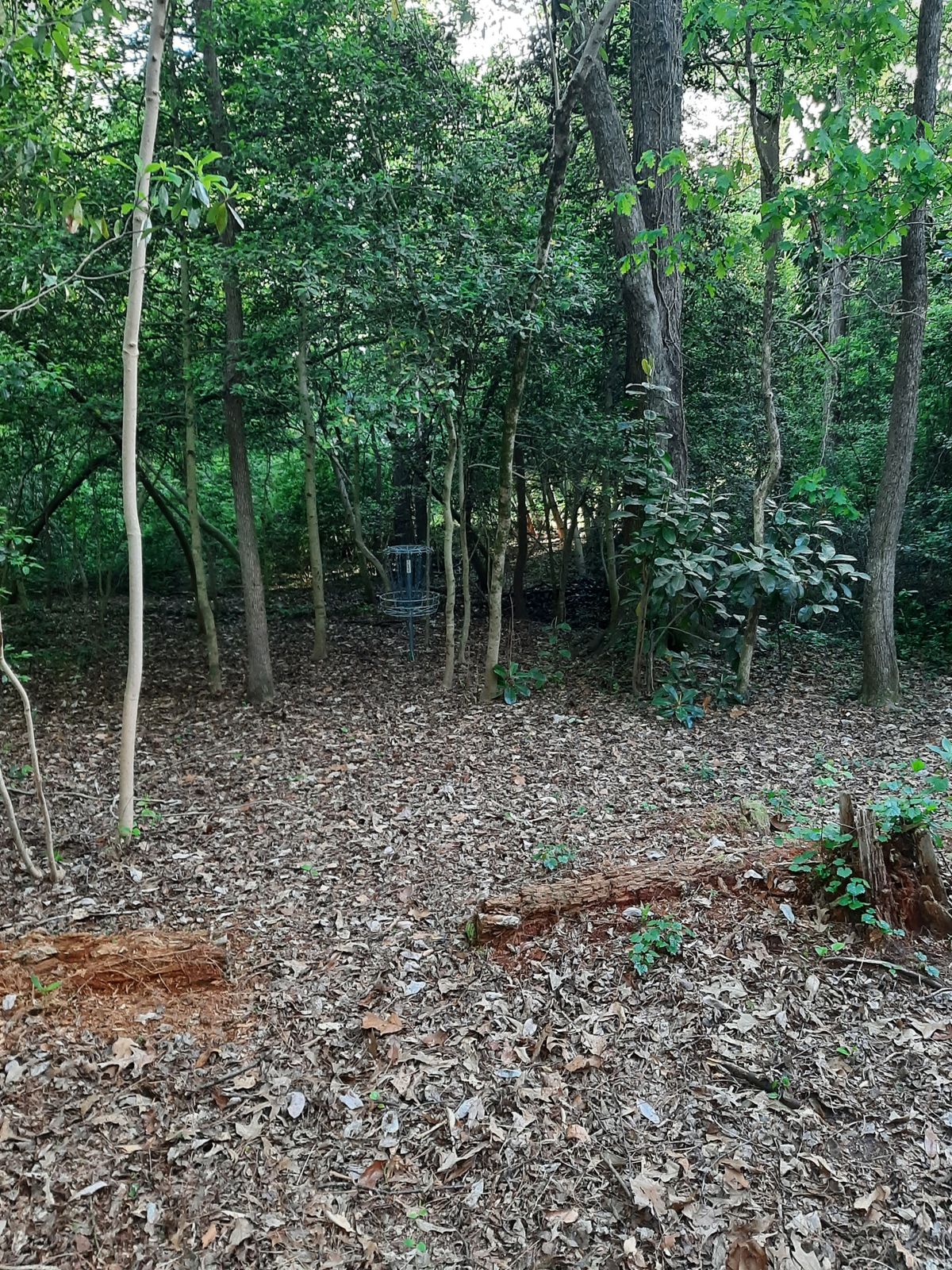 Hole 7 Green B Pin