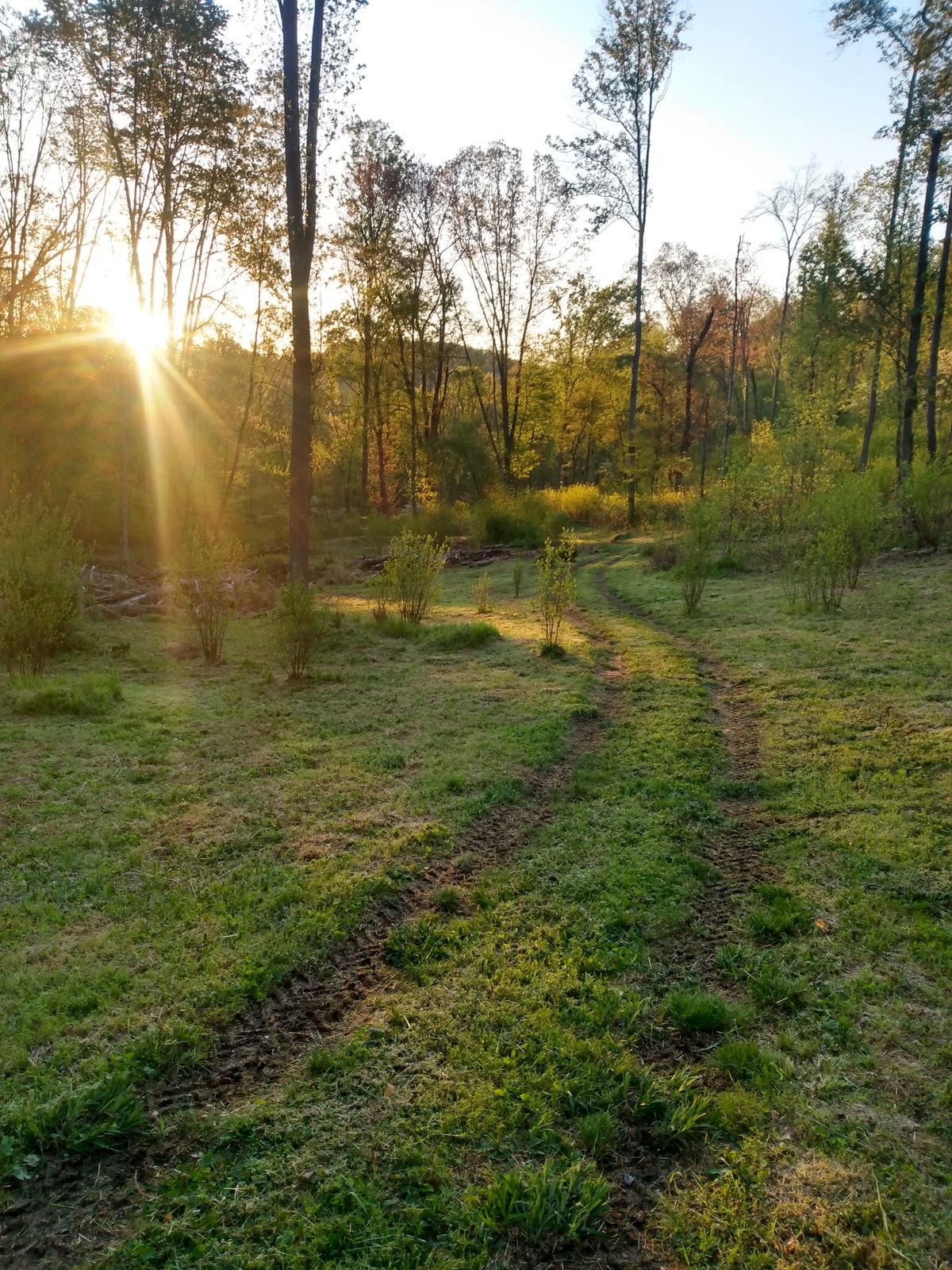 Hole 9 fairway