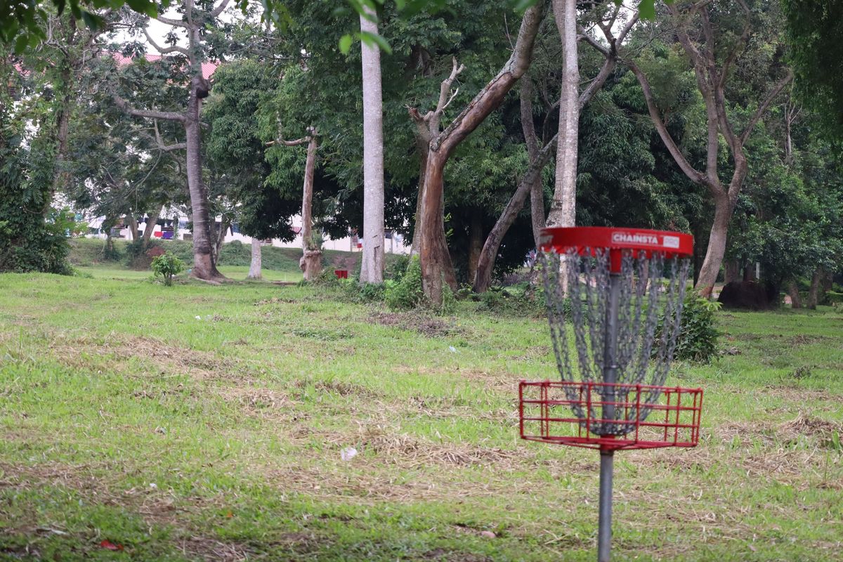 Hole 2 Basket