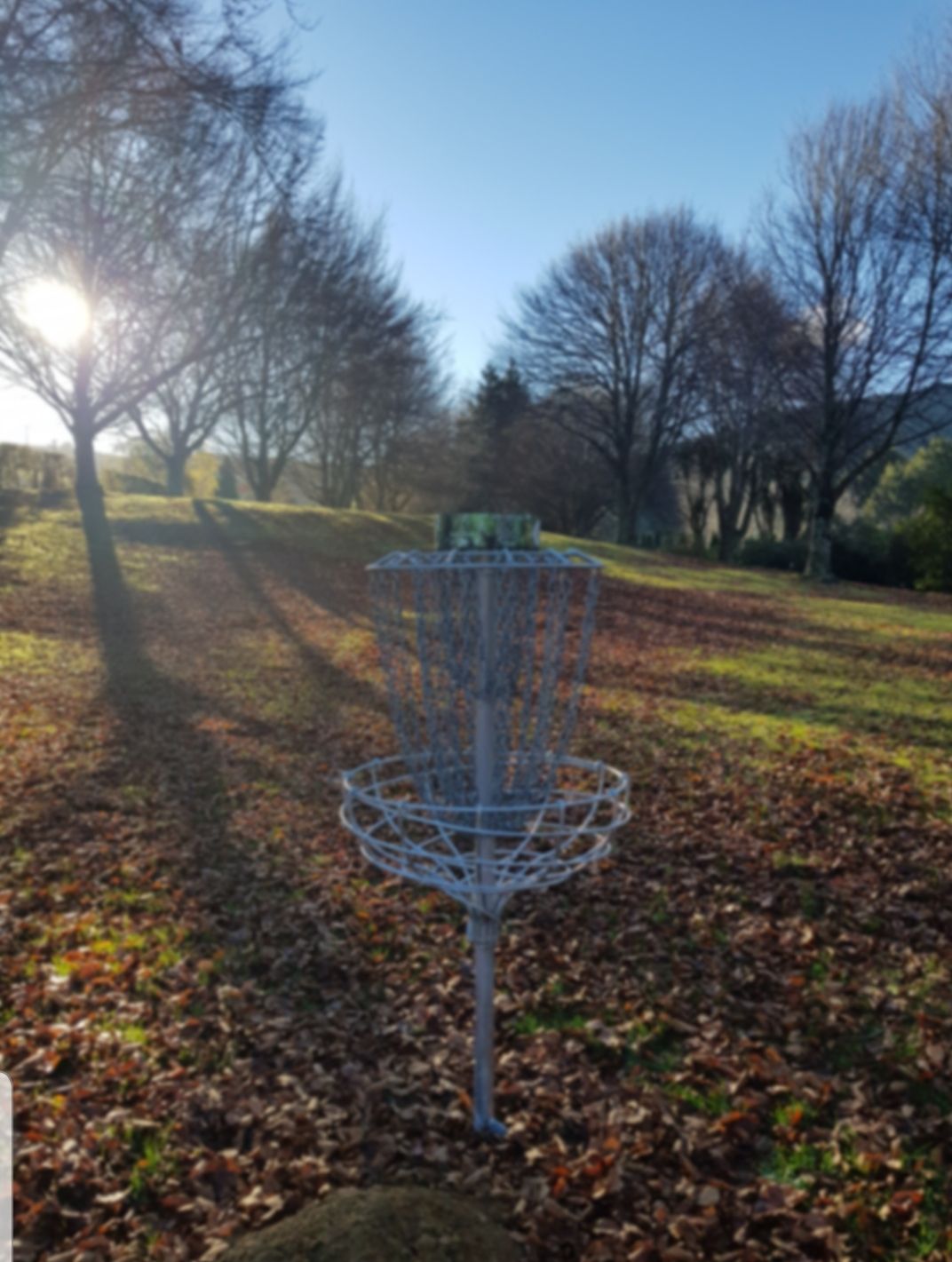 6's basket looking back up to the tee