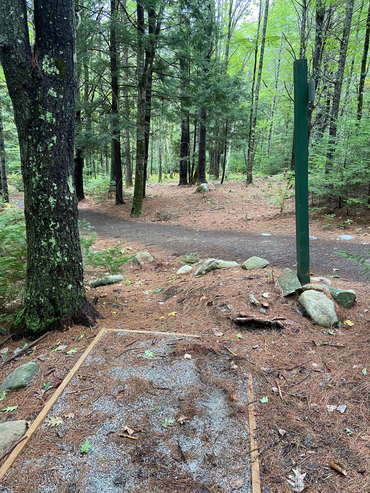 Tee box for hole 4