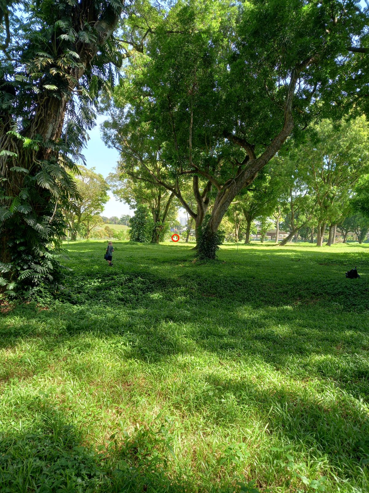 Hole 5 from landing zone