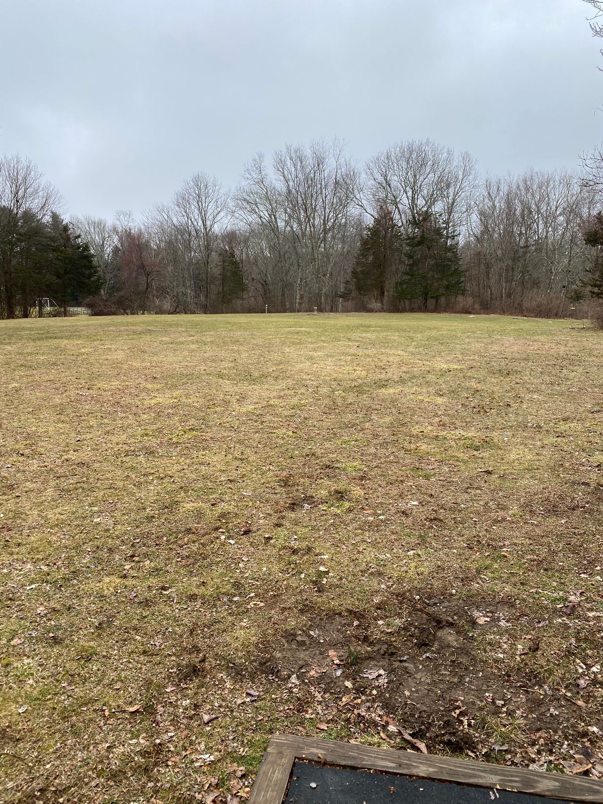 Hole 6 tee