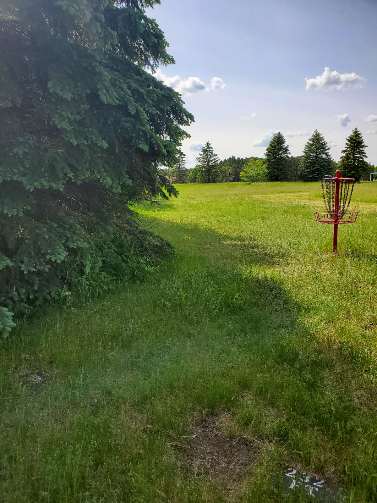 #7 tee