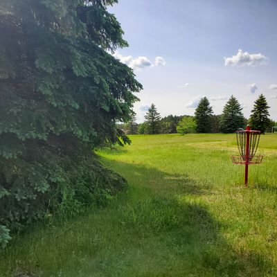 #7 tee
