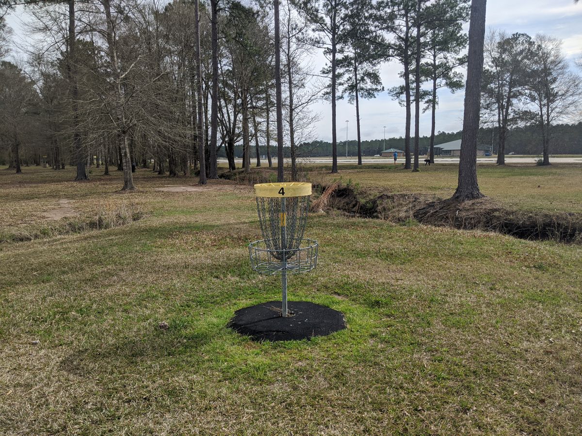 Hole 4 Basket