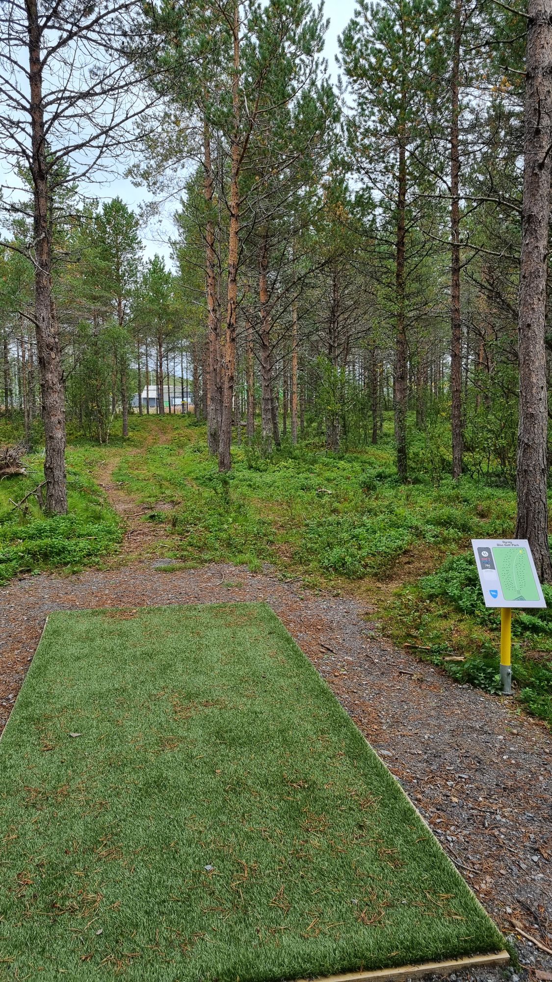 Tee 14