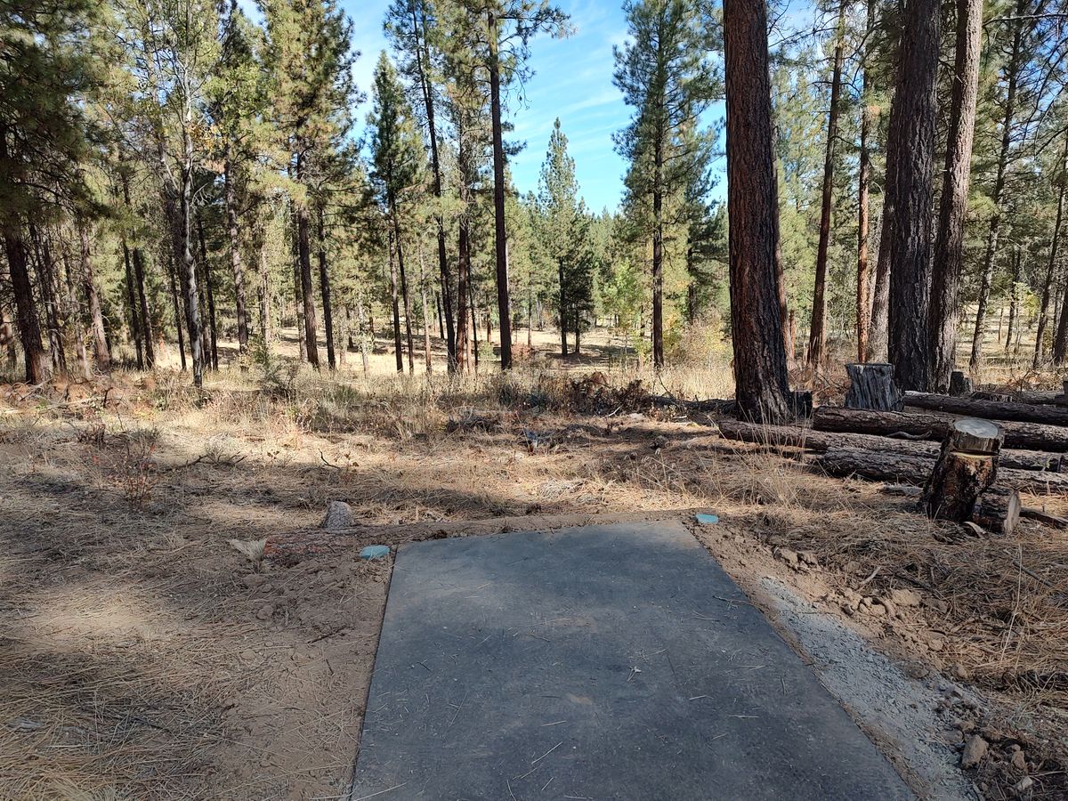 Hole 6 Tee.