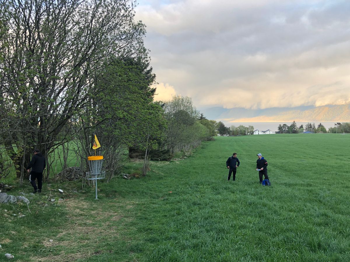 Korga på hol 7