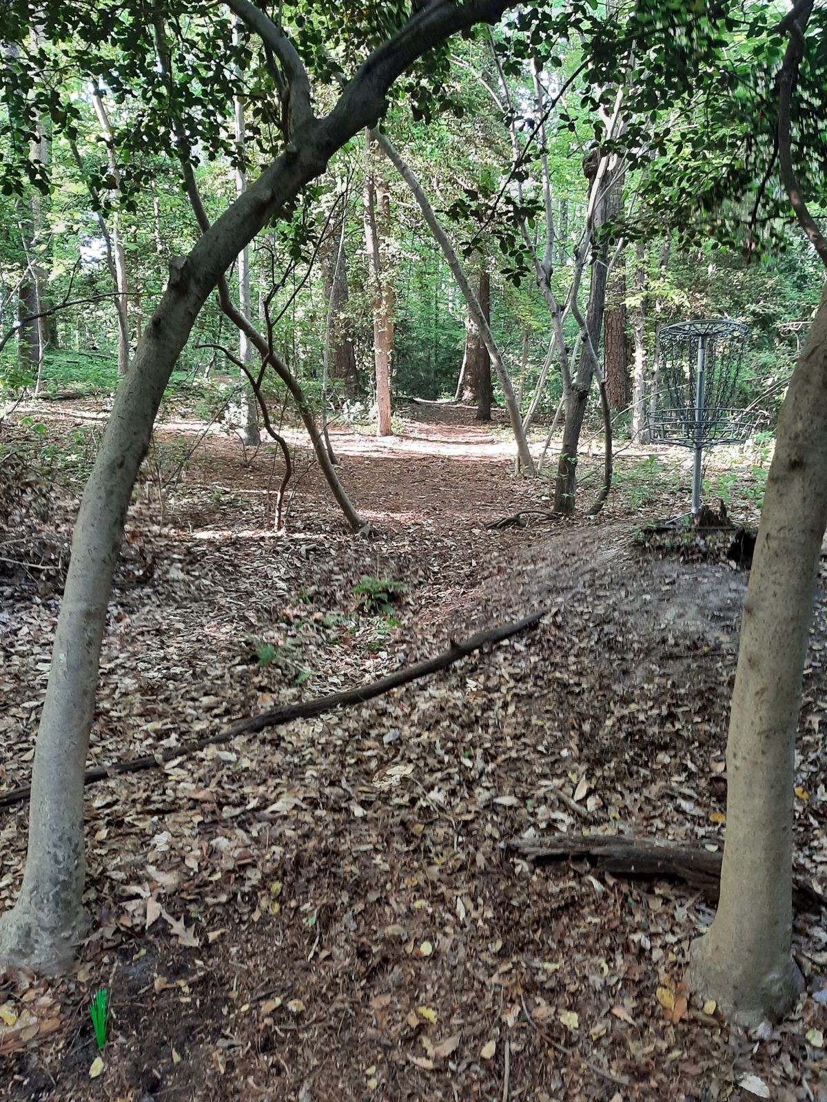 Hole 14 Par 3 Layout Tee