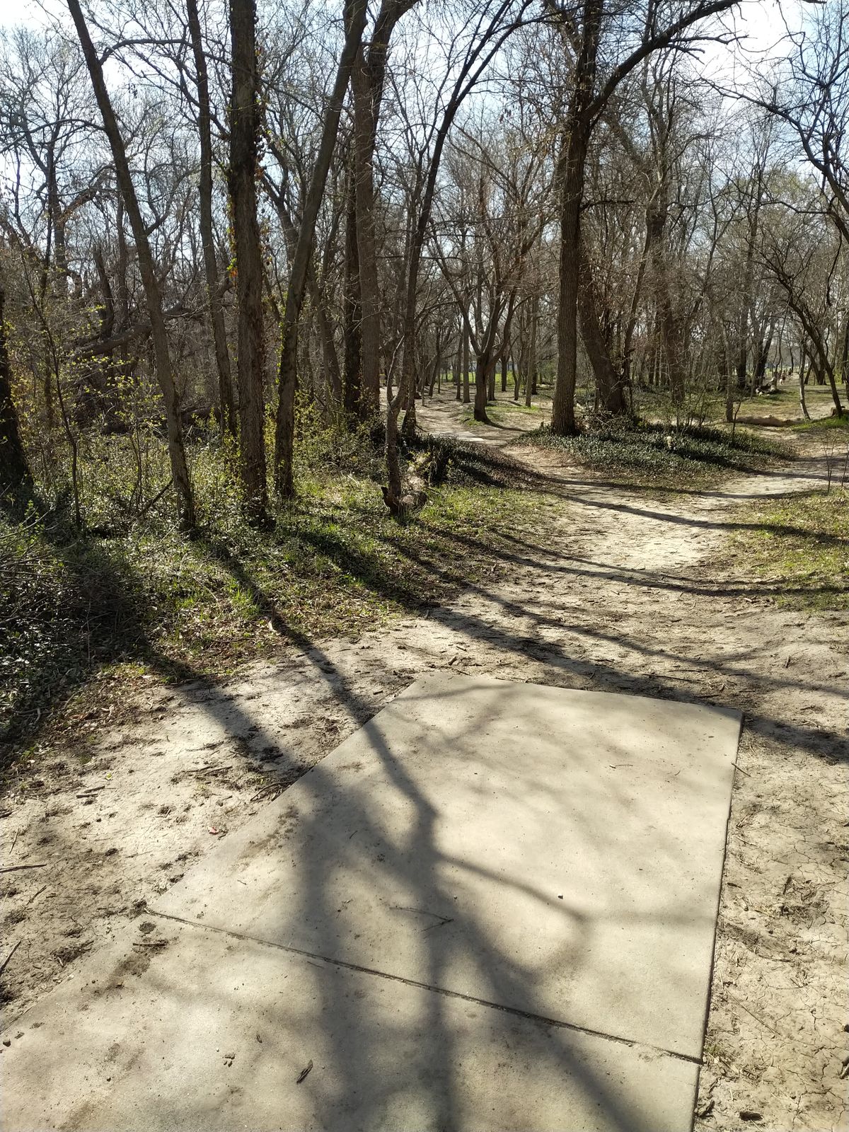 Hole #6 Blue Tee (April 2021)