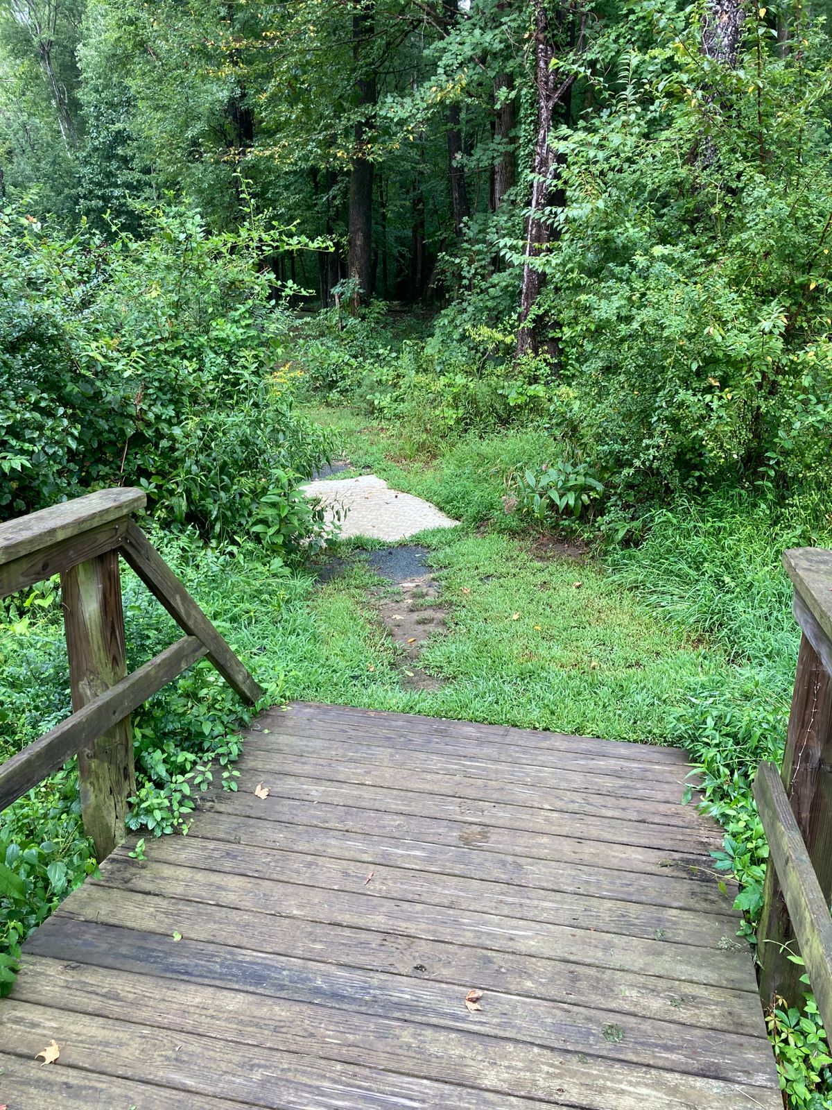 Bridges abound around course. But still rX footwear to get wet.