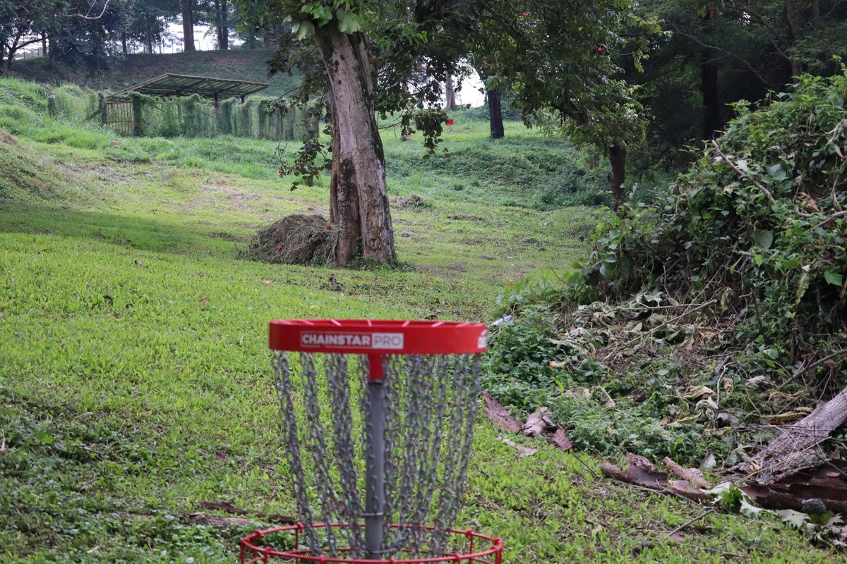 Hole 9 Basket