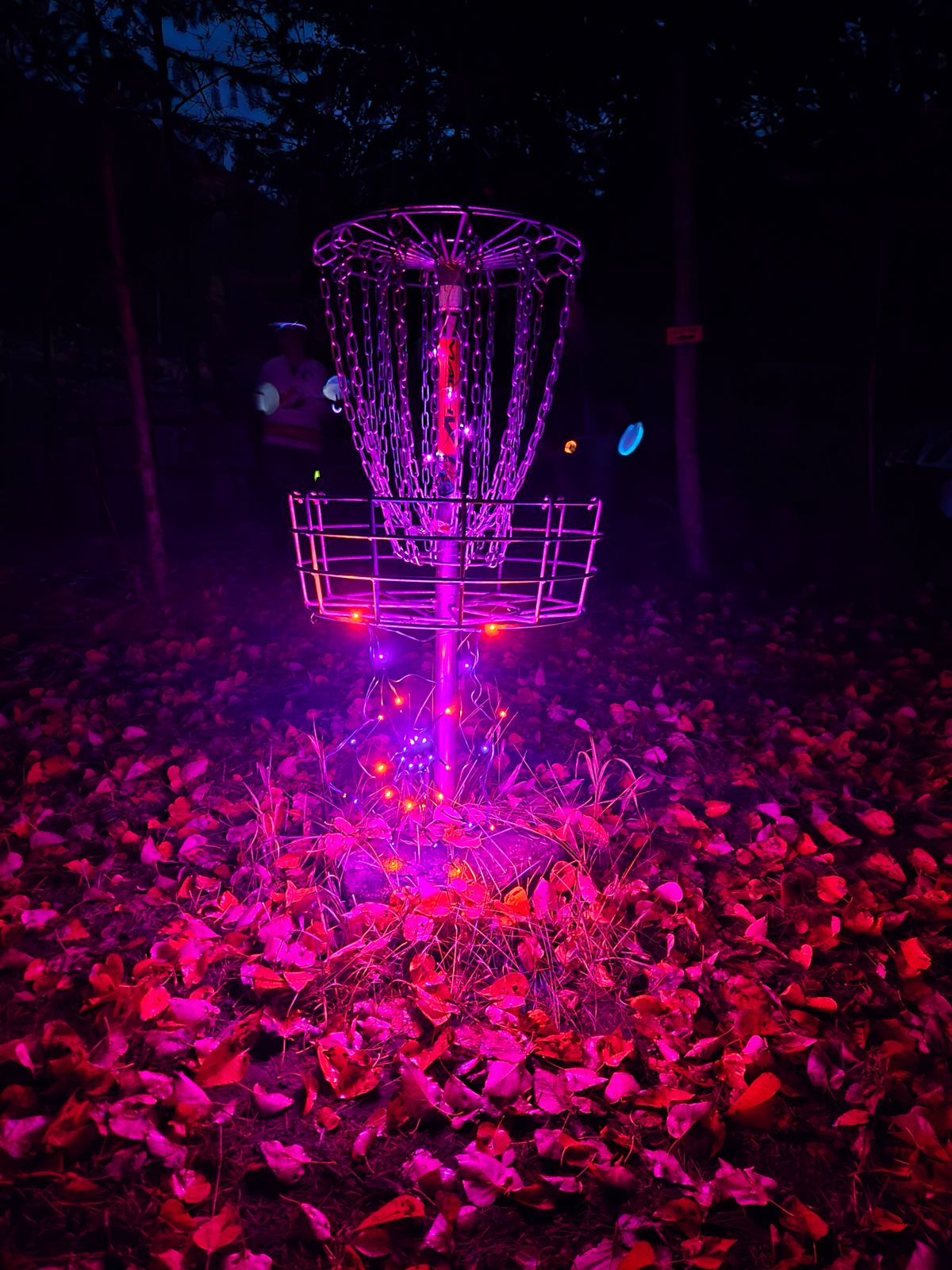 Basket 17 during Space Race 2024