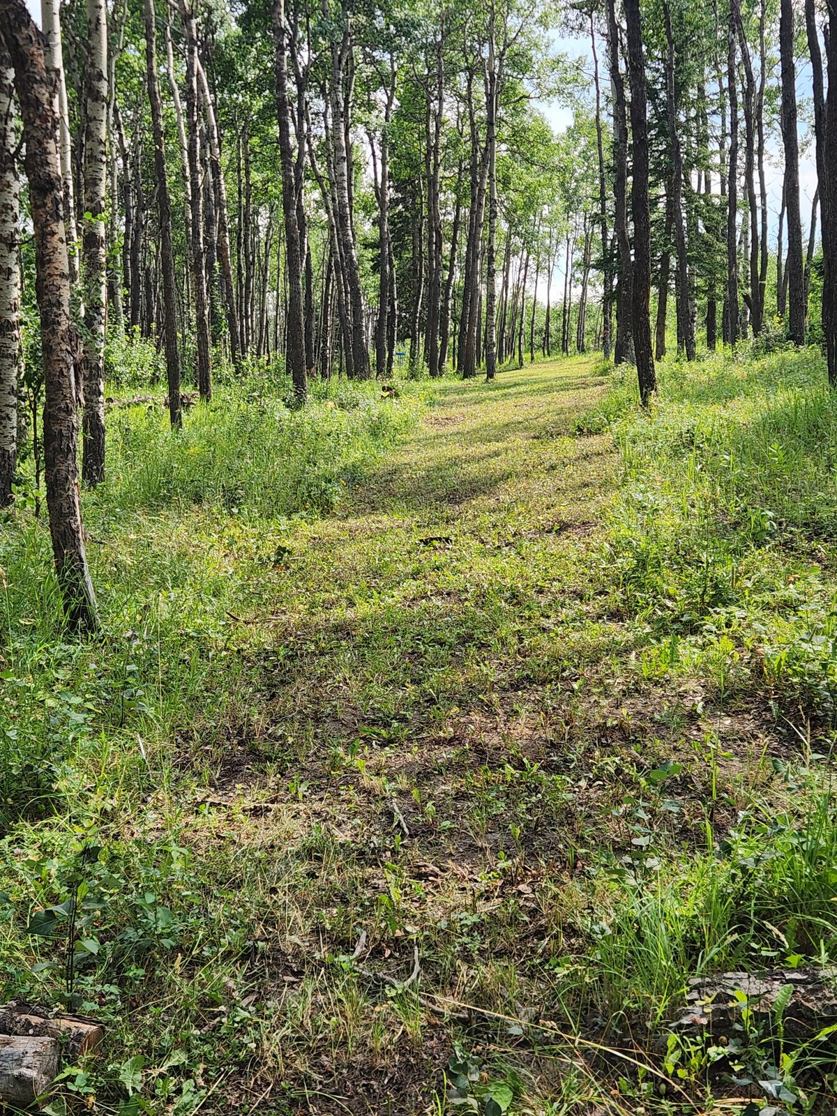 Hole 6