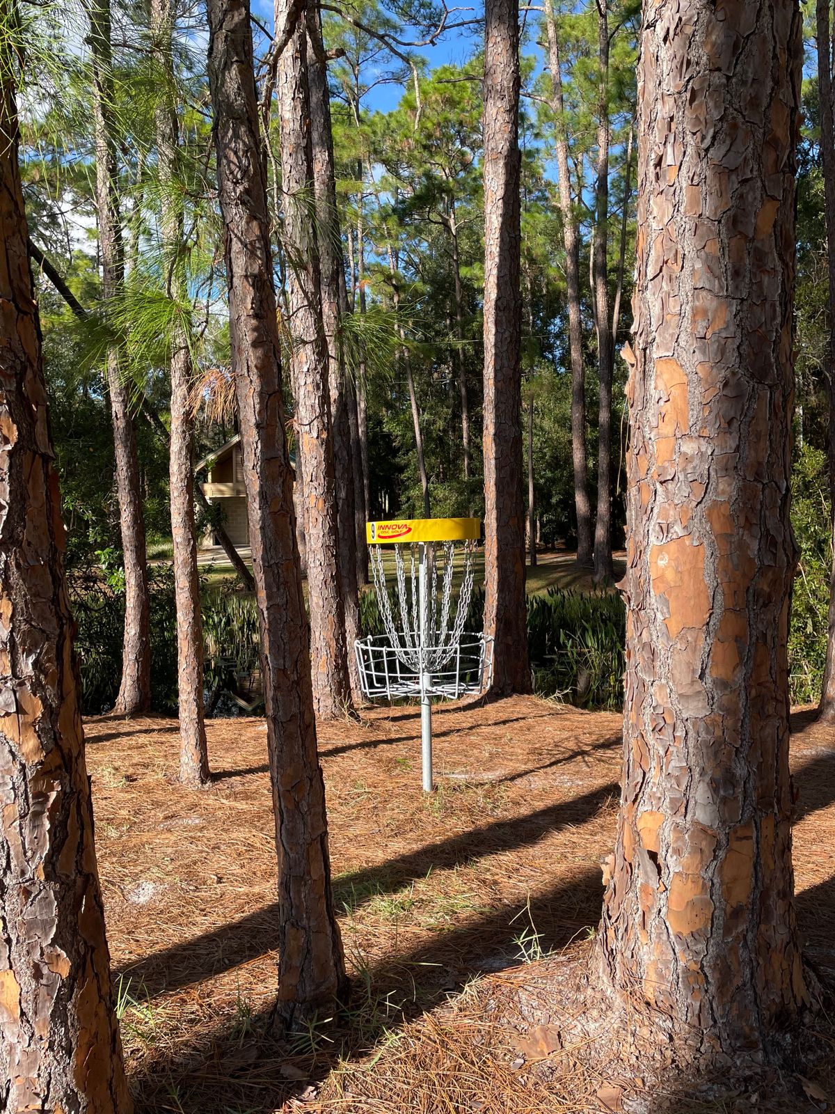 Hole 9