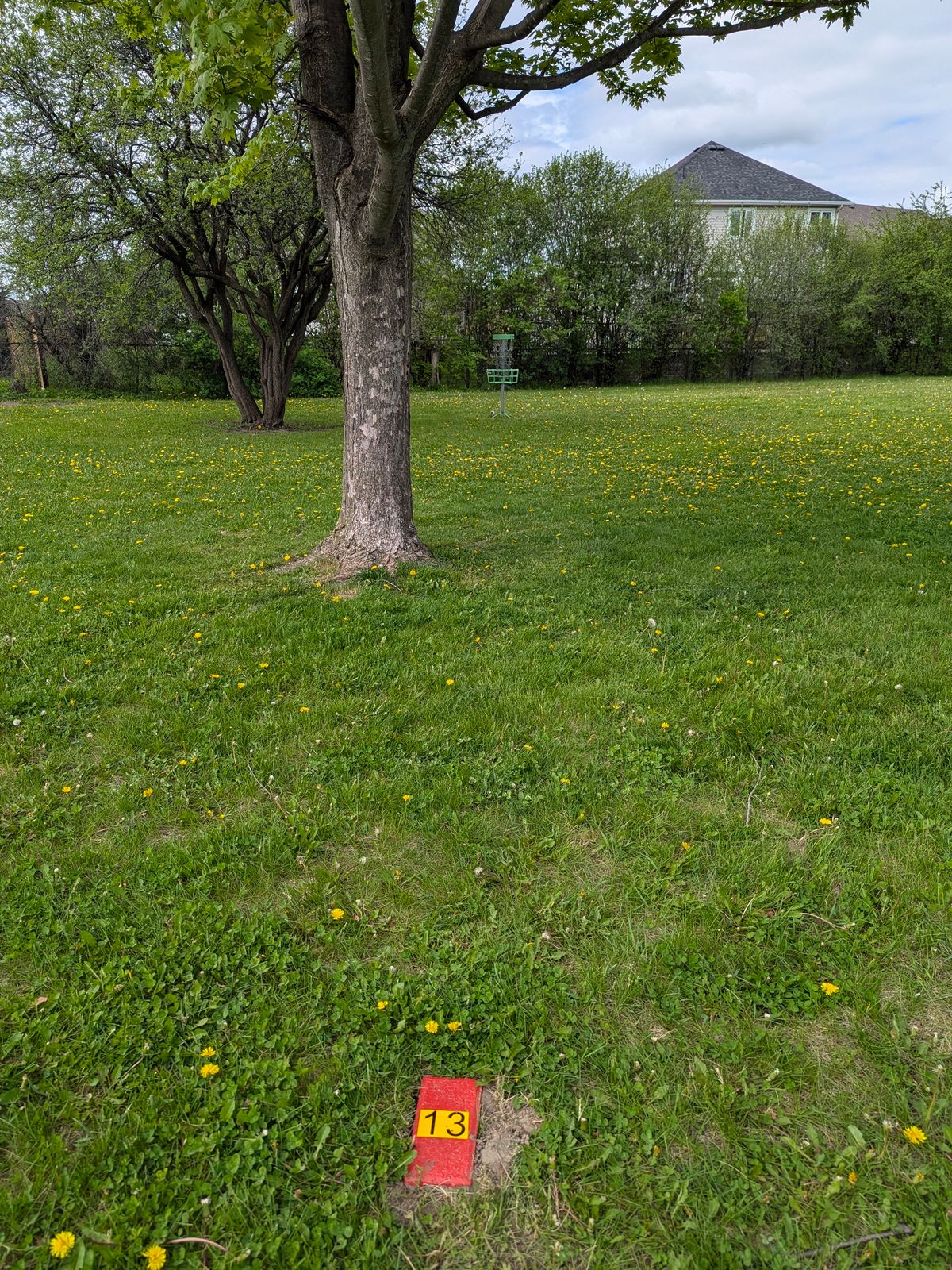 TEE 13.
*IMPORTANT: The Single Tee brick acts like a marker and you can only throw from behind the marker, not for either side or in fro