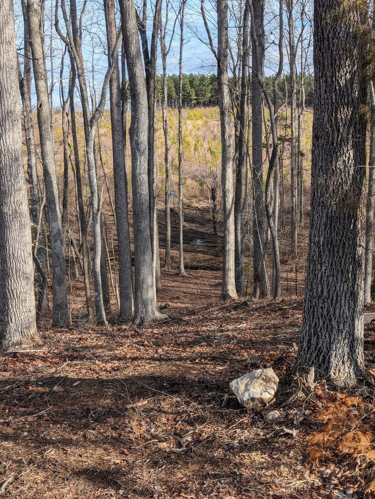 Hole 8