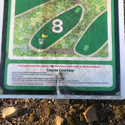 Hole 8