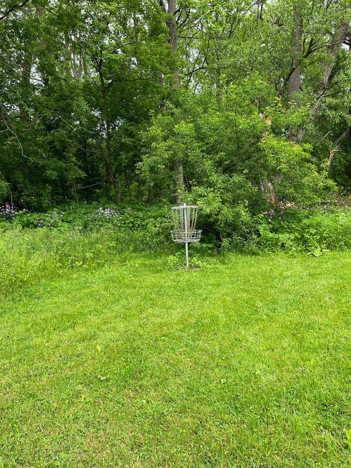 Hole 5 basket