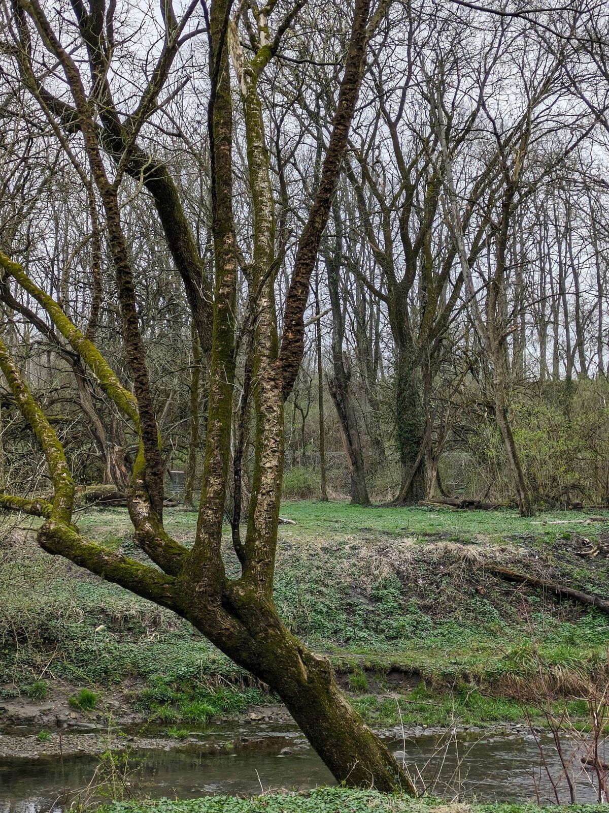 Hole 17