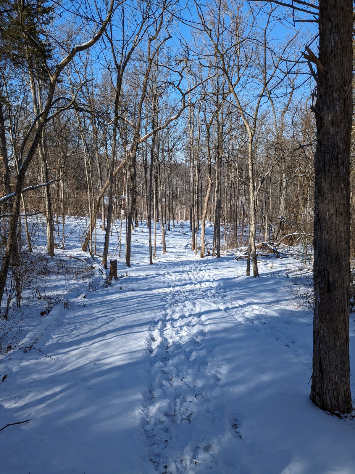 From the tee pad on #5.