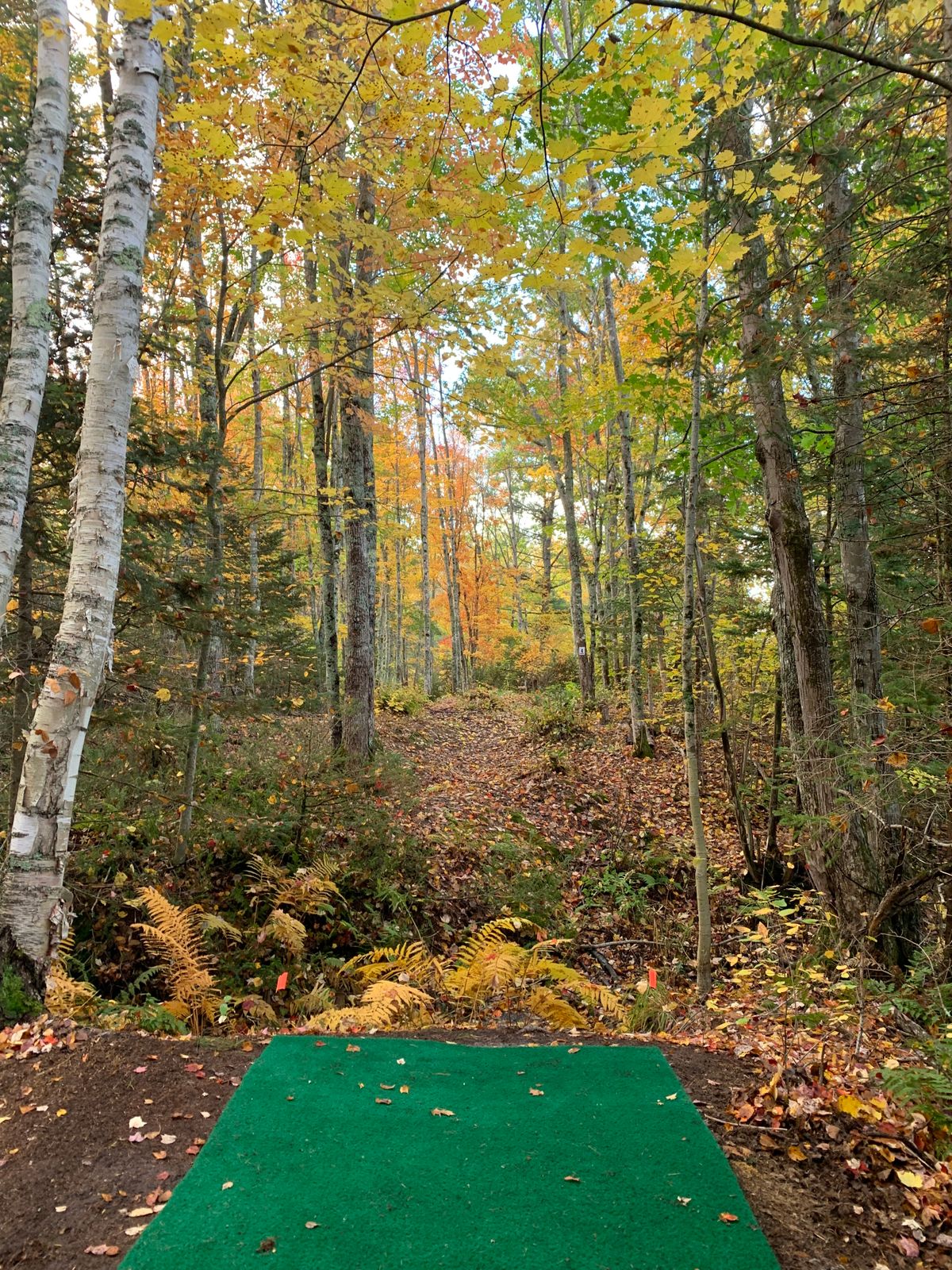 Hole 4 long tee