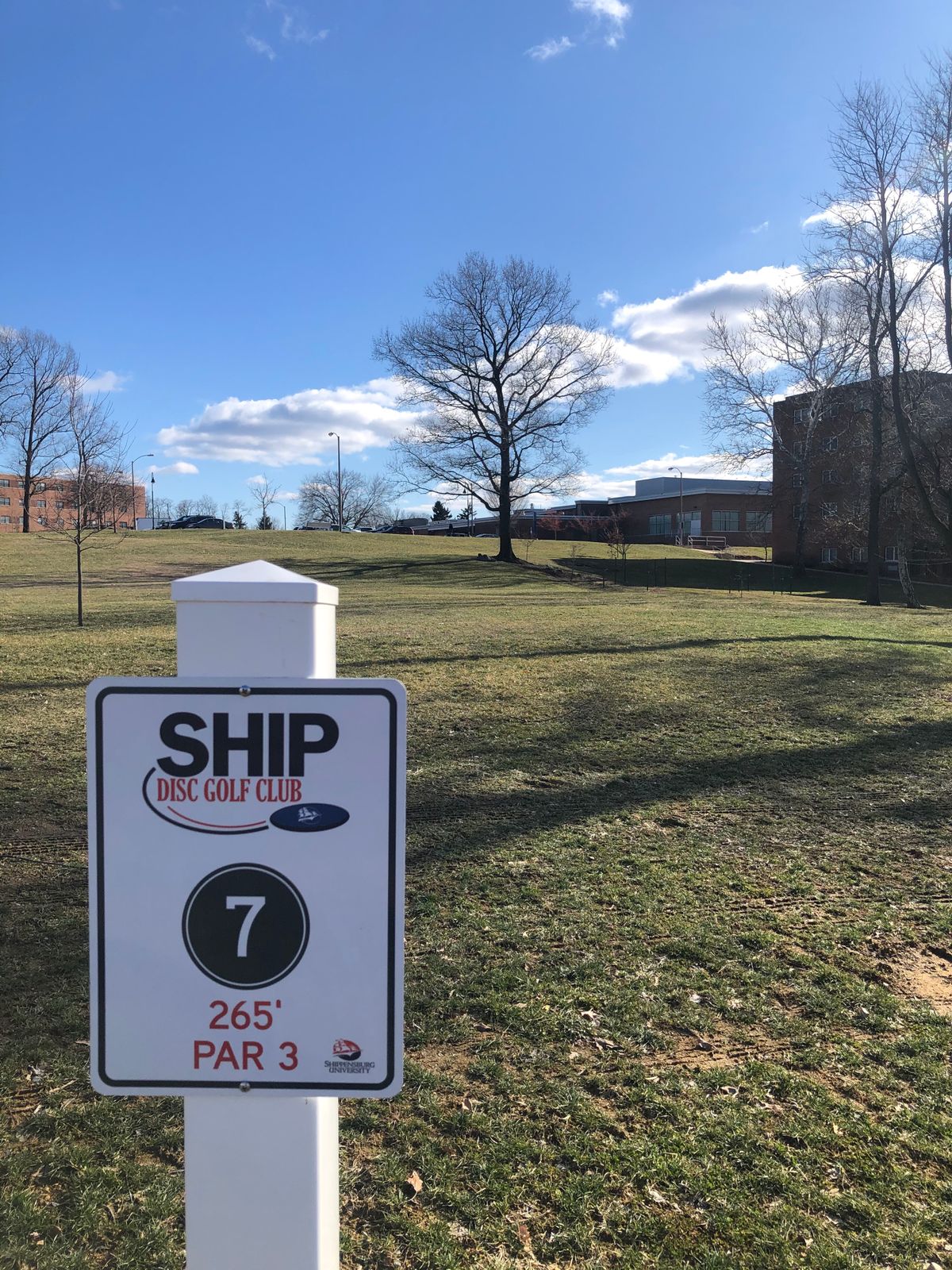 Hole 7