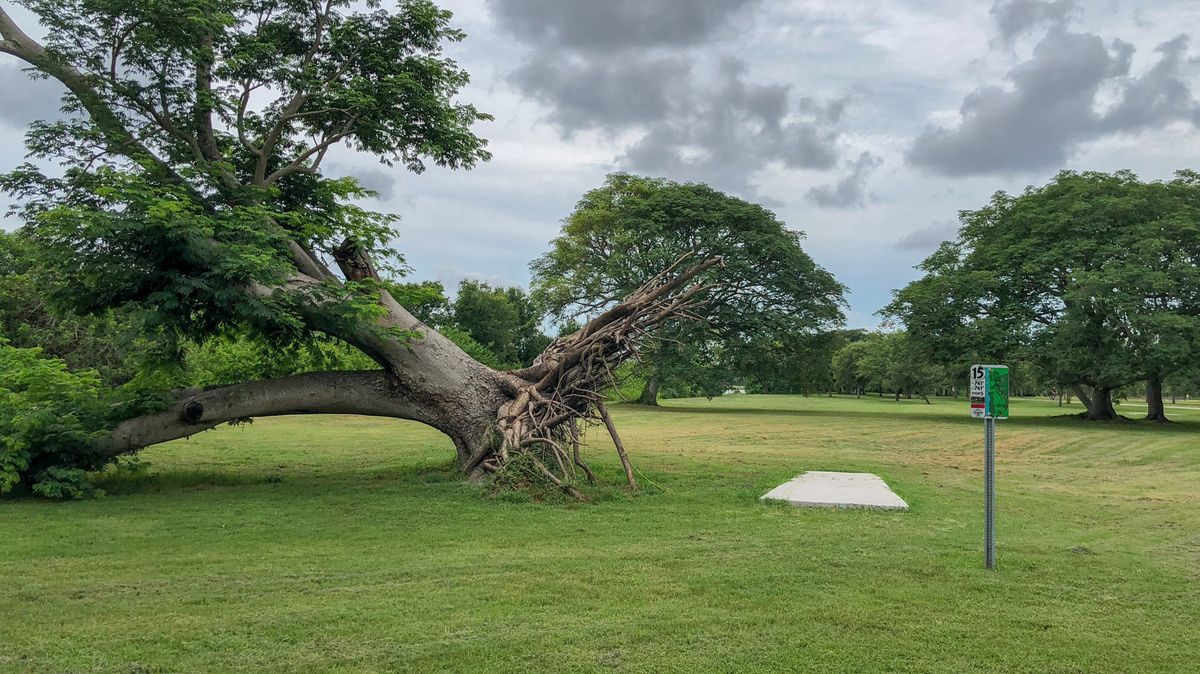 Hole 15