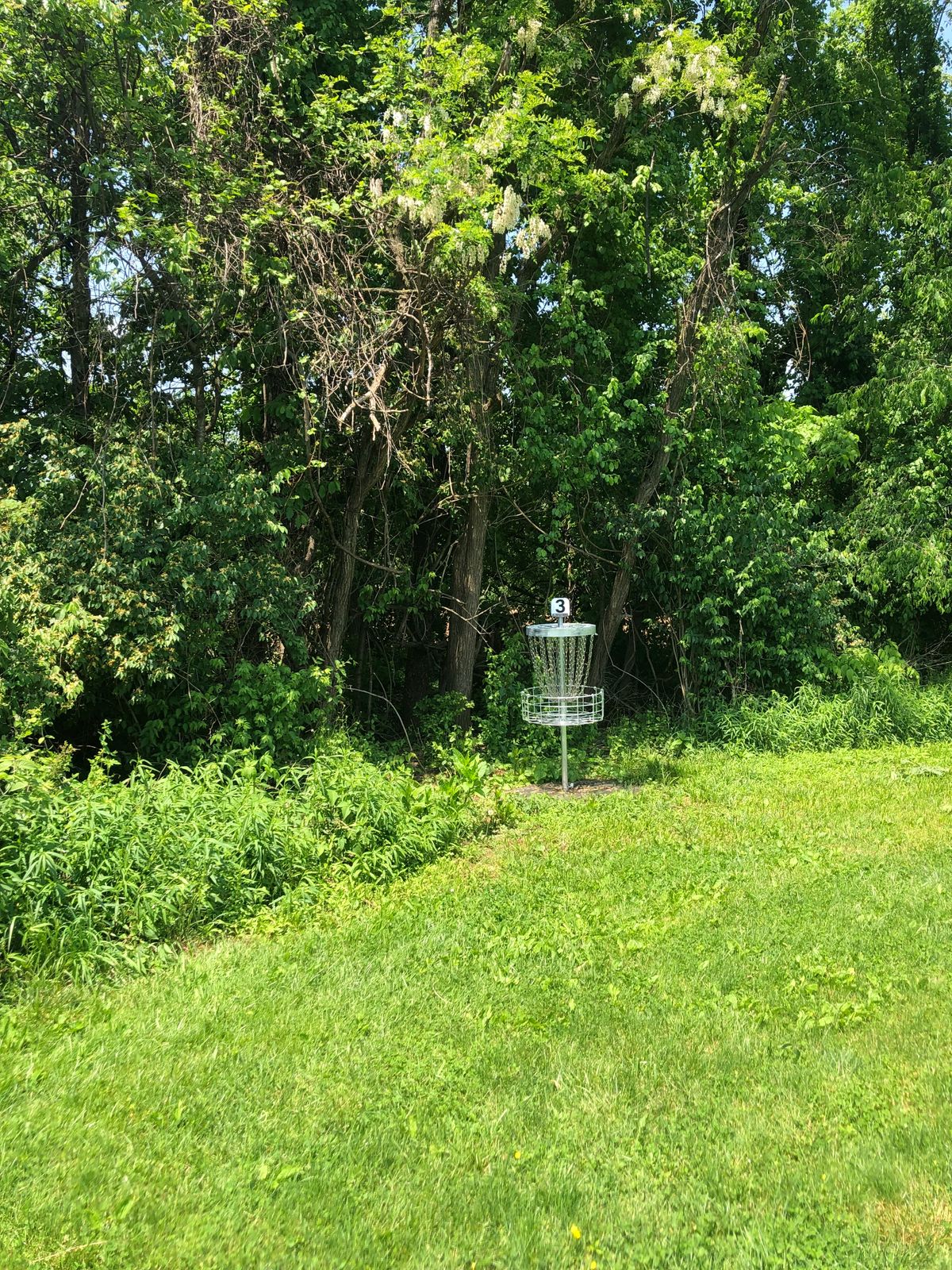 Hole 3 finish
