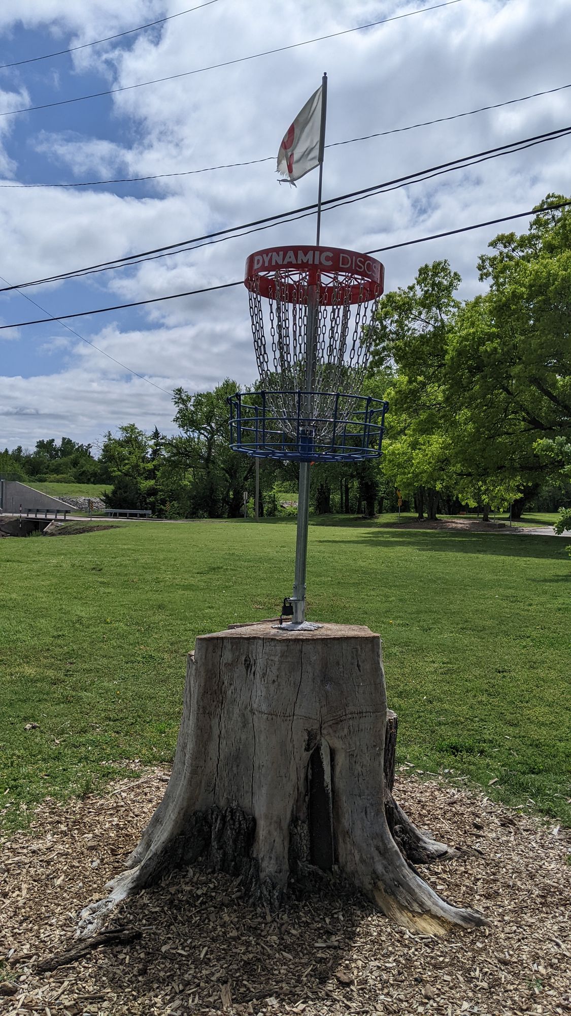 Basket 9