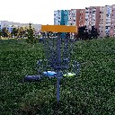 mcafdiscgolf